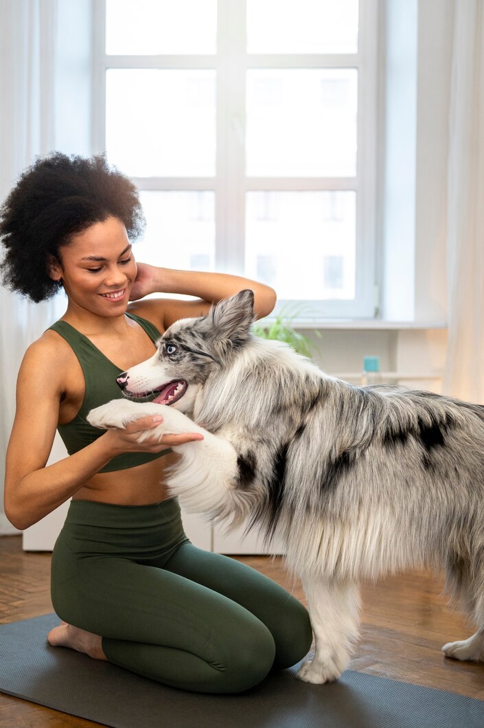 Pet Food